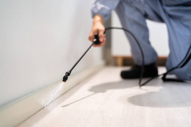Bed Bug Pre-Treatment Preparation Assessment in McCamey