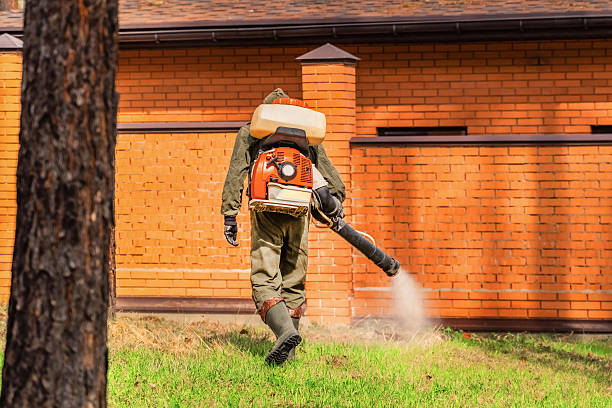 Bed Bug Clearance Verification and Documentation in McCamey